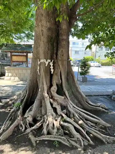 滝野川八幡神社(東京都)