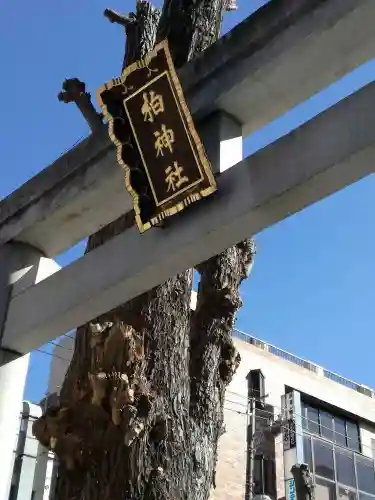 柏神社のその他建物