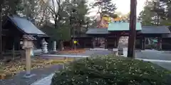 琴似神社の建物その他