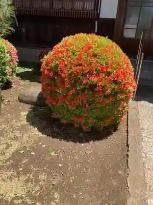 森巌寺(東京都)