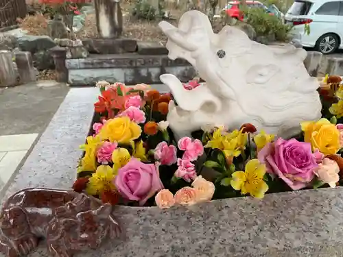 八幡宮(茨城県)