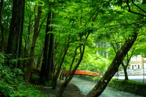 小國神社(静岡県)