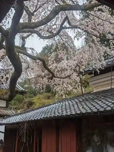 十輪寺(京都府)