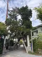 荏柄天神社の自然