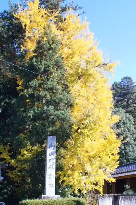 白山比咩神社(石川県)