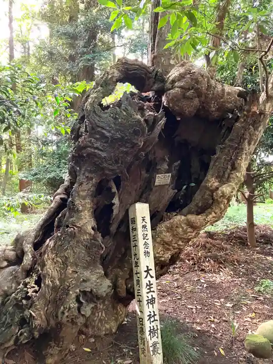 大生神社(茨城県)