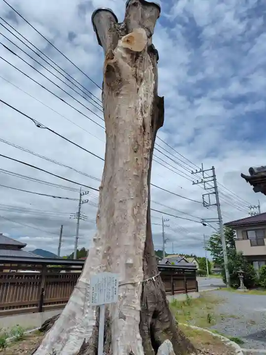 石井神社(茨城県)