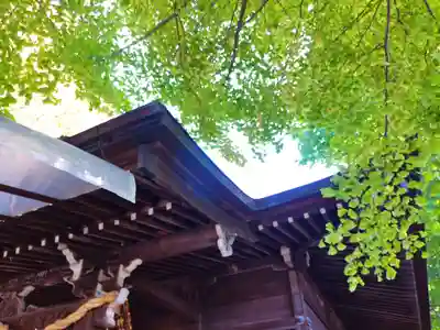 弥生神社の自然
