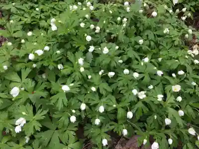 金剛寺(北海道)