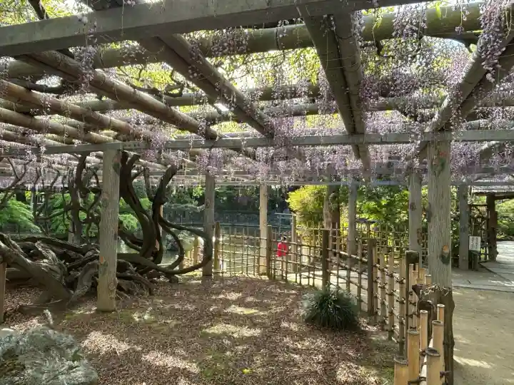 越ヶ谷久伊豆神社の{uncategorized: "未分類", other: "その他", undefined: "問題あり", building: "その他建物", grave: "お墓", sacred_gate: "鳥居", guardian: "狛犬", statue: "像", buddha: "仏像", history: "歴史", nature: "自然", garden: "庭園", animal: "動物", pagoda: "塔", temizu: "手水舎", mountain_gate: "山門・神門", sanctuary: "本殿・本堂", subordinate: "末社・摂社", art: "芸術", scenery: "景色", jizo: "地蔵", ema: "絵馬", goshuin: "御朱印", omikuji: "おみくじ", items: "授与品その他", amulet: "お守り", goshuincho: "御朱印帳", eats: "食事", festival: "お祭り", votive_dance: "神楽", shichigosan: "七五三参", wedding: "結婚式", experience: "体験その他", initially: "初詣", around: "周辺", anti_infection: "感染症対策"}