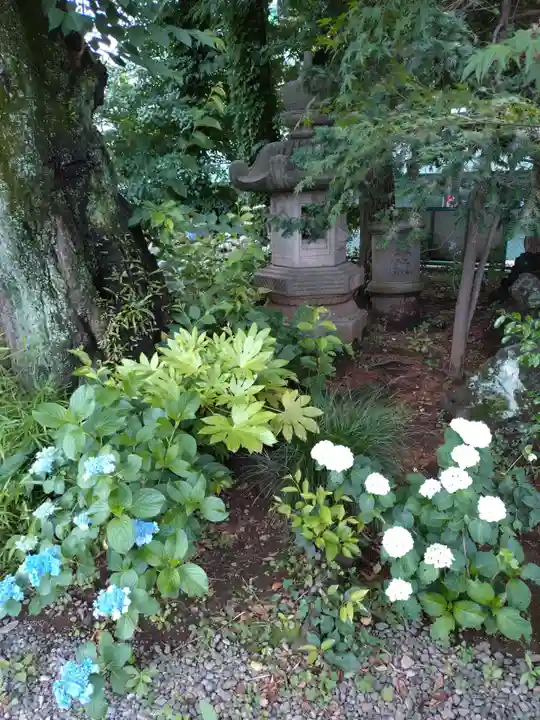 本郷氷川神社(東京都)