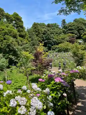 本土寺(千葉県)