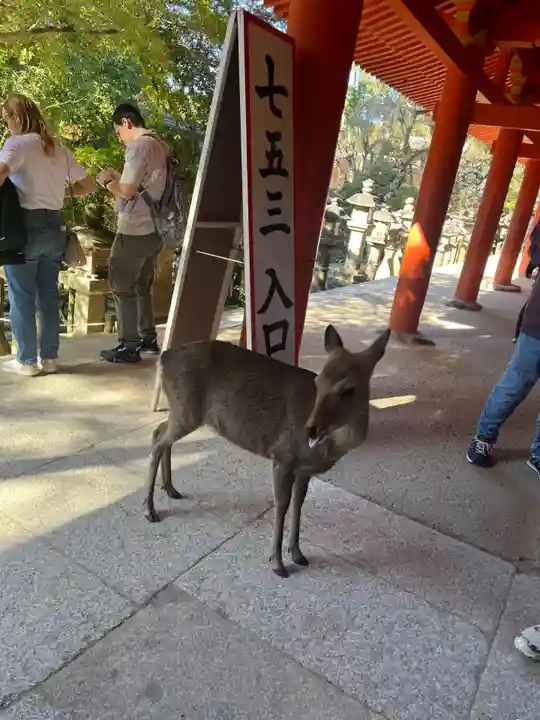 春日大社(奈良県)