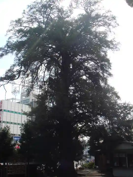 瀬戸神社の自然