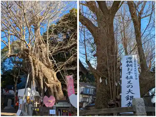海南神社(神奈川県)