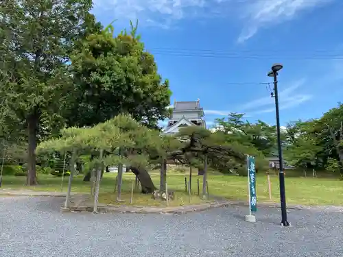 月岡神社の自然