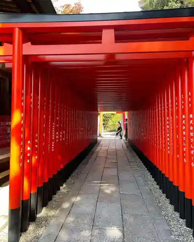 三光稲荷神社の鳥居