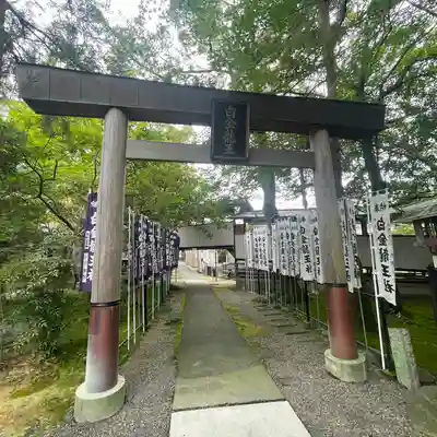 白金龍王社(愛知県)