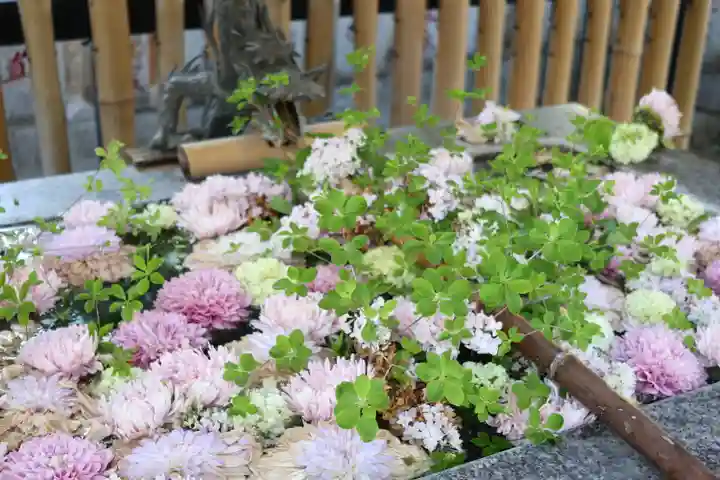 高円寺氷川神社(東京都)