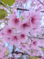 淀橋咳止地蔵尊(東京都)