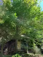 薬師堂の本殿・本堂