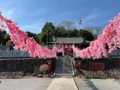 寺岡山元三大師の{uncategorized: "未分類", other: "その他", undefined: "問題あり", building: "その他建物", grave: "お墓", sacred_gate: "鳥居", guardian: "狛犬", statue: "像", buddha: "仏像", history: "歴史", nature: "自然", garden: "庭園", animal: "動物", pagoda: "塔", temizu: "手水舎", mountain_gate: "山門・神門", sanctuary: "本殿・本堂", subordinate: "末社・摂社", art: "芸術", scenery: "景色", jizo: "地蔵", ema: "絵馬", goshuin: "御朱印", omikuji: "おみくじ", items: "授与品その他", amulet: "お守り", goshuincho: "御朱印帳", eats: "食事", festival: "お祭り", votive_dance: "神楽", shichigosan: "七五三参", wedding: "結婚式", experience: "体験その他", initially: "初詣", around: "周辺", anti_infection: "感染症対策"}