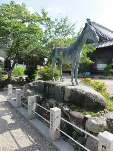 橘寺の狛犬