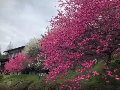 国宝 大法寺(長野県)