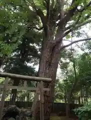 厳嶋神社(千葉県)