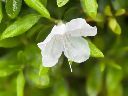 西方山極楽寺(岐阜県)