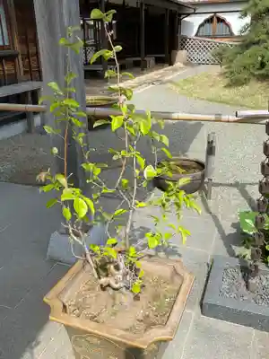 妙蓮寺(神奈川県)