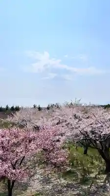 石崎地主海神社(北海道)