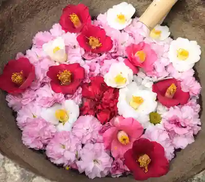 真言宗　善通寺派　薬王寺の手水舎