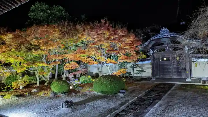 妙顯寺(妙顕寺)(京都府)