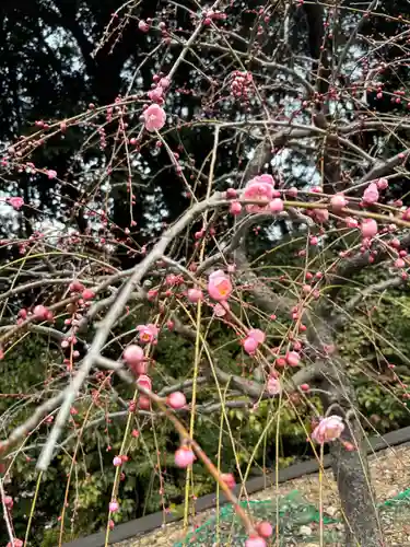 大縣神社(愛知県)