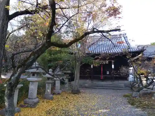 長浜八幡宮(滋賀県)