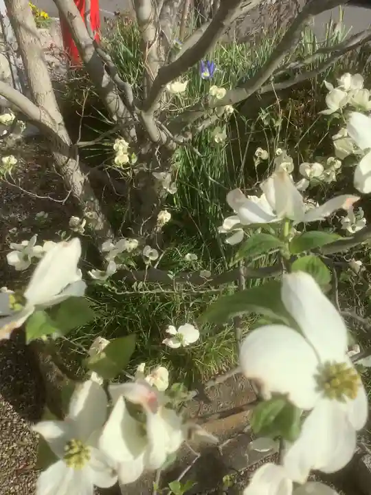 八島稲荷神社の自然