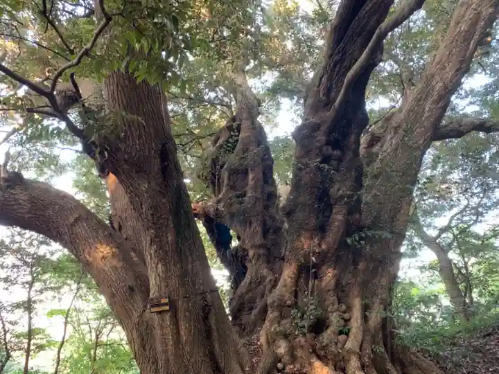 菅生神社のその他建物