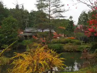 円成寺の{uncategorized: "未分類", other: "その他", undefined: "問題あり", building: "その他建物", grave: "お墓", sacred_gate: "鳥居", guardian: "狛犬", statue: "像", buddha: "仏像", history: "歴史", nature: "自然", garden: "庭園", animal: "動物", pagoda: "塔", temizu: "手水舎", mountain_gate: "山門・神門", sanctuary: "本殿・本堂", subordinate: "末社・摂社", art: "芸術", scenery: "景色", jizo: "地蔵", ema: "絵馬", goshuin: "御朱印", omikuji: "おみくじ", items: "授与品その他", amulet: "お守り", goshuincho: "御朱印帳", eats: "食事", festival: "お祭り", votive_dance: "神楽", shichigosan: "七五三参", wedding: "結婚式", experience: "体験その他", initially: "初詣", around: "周辺", anti_infection: "感染症対策"}