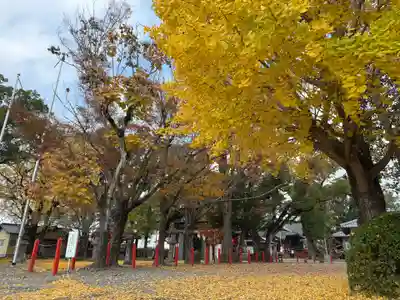 美奈宜神社(福岡県)