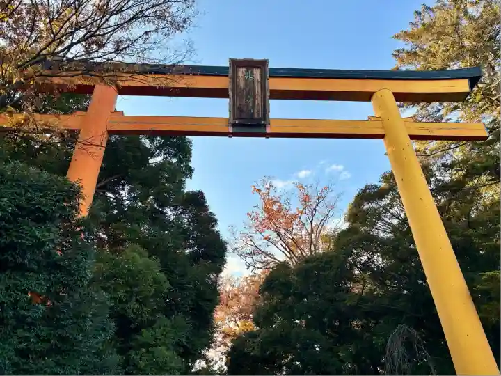 川越氷川神社(埼玉県)