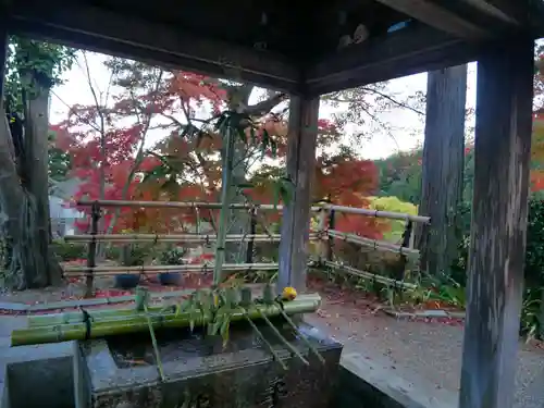 善峯寺の手水舎