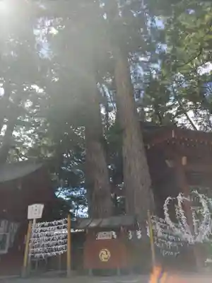 日光二荒山神社(栃木県)