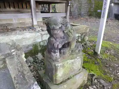 杉山社（帷子町杉山社・久保杉山神社）の狛犬