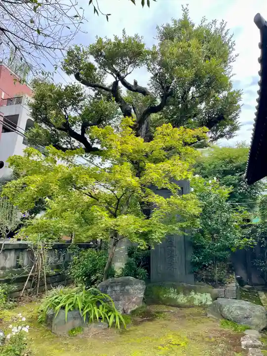 護国院(東京都)