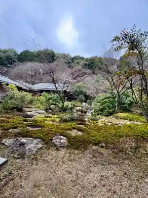 実相院門跡の{uncategorized: "未分類", other: "その他", undefined: "問題あり", building: "その他建物", grave: "お墓", sacred_gate: "鳥居", guardian: "狛犬", statue: "像", buddha: "仏像", history: "歴史", nature: "自然", garden: "庭園", animal: "動物", pagoda: "塔", temizu: "手水舎", mountain_gate: "山門・神門", sanctuary: "本殿・本堂", subordinate: "末社・摂社", art: "芸術", scenery: "景色", jizo: "地蔵", ema: "絵馬", goshuin: "御朱印", omikuji: "おみくじ", items: "授与品その他", amulet: "お守り", goshuincho: "御朱印帳", eats: "食事", festival: "お祭り", votive_dance: "神楽", shichigosan: "七五三参", wedding: "結婚式", experience: "体験その他", initially: "初詣", around: "周辺", anti_infection: "感染症対策"}