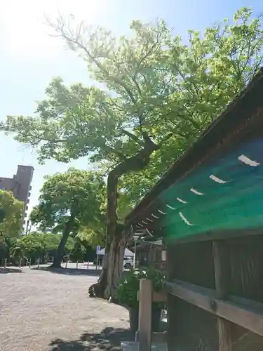 尾張大國霊神社（国府宮）の自然