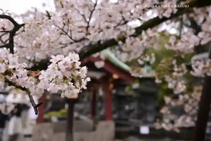 上野東照宮(東京都)