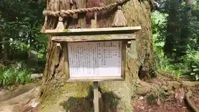高藏寺(宮城県)