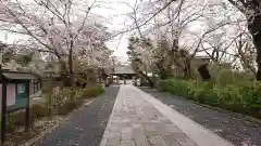 松陰神社の建物その他